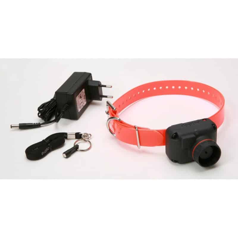 Batterie De Remplacement Pour Collier De Dressage DOGTRA 1200 NCP - Compatible Otech - Haute Autonomie