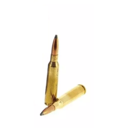 Munitions Winchester 6.5x55swd Soft Point 140