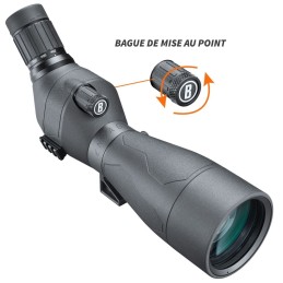 Longue-vue Bushnell Engage DX 20-60x80