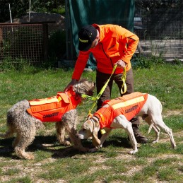 GILET CANIHUNT DOG ARMOR ORANGE  V3