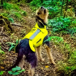 GILET DE PROTECTION CANIHUNT PROTECT PRO CANO JAUNE