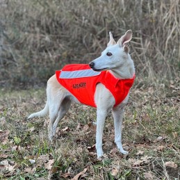 Gilet de signalisation FLASH V3 ®