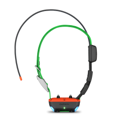 Pack Garmin Alpha 10 F + Collier TT25 F+CORDON– GPS & dressage pour chien de chasse