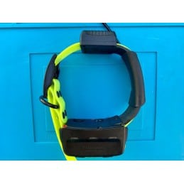 T5 USA occassion Grade AAA