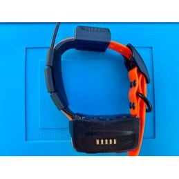 T5 Espagnol occassion Grade AAA