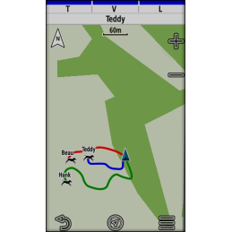 Garmin Alpha 200 Plus F + T20– GPS Suivi & Éducation Chiens jusqu’à 20 chiens, Cartes Topo OFFERTES