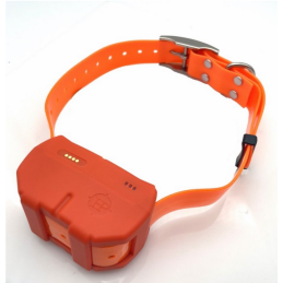 DOGZE 4G MINI -  Balise GPS de repérage et dressage 4G
