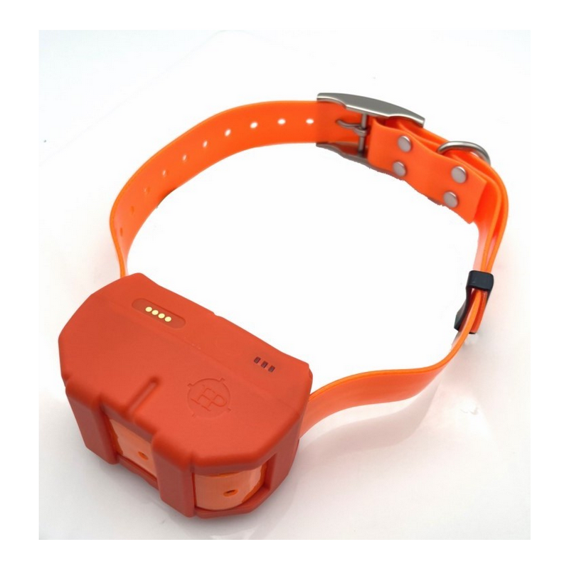 DOGZE 4G MINI -  Balise GPS de repérage et dressage 4G